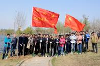 市公管局干部职工参加全民义务植树活动
